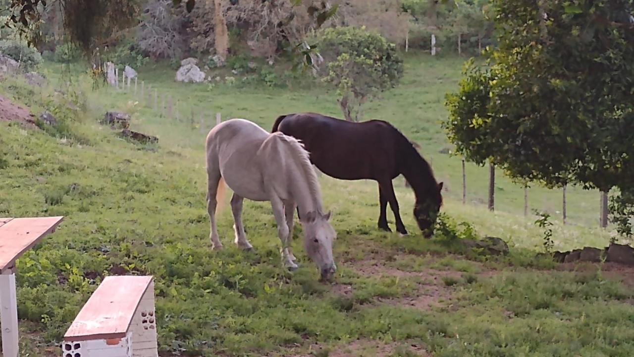 Casa & Chale Em Morro Redondo Rs Villa Dış mekan fotoğraf